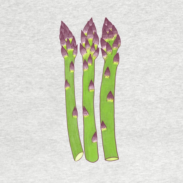 asparagus by terastar